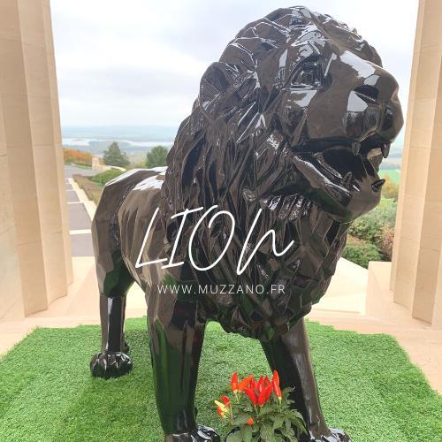 Showroom Lion - MUZZANO