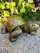 🔥 OFFRE LIMITÉE - Sculpture Tortue Resine 65cm Statue - Or 🔥 - MUZZANO