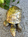 🔥 OFFRE LIMITÉE - Sculpture Tortue Resine 65cm Statue - Or 🔥 - MUZZANO