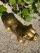 🔥 OFFRE LIMITÉE - Statue BULLDOG UK 30cm - GOLD 🔥 - MUZZANO