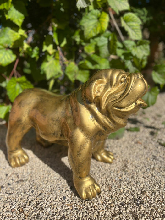 🔥 OFFRE LIMITÉE - Statue BULLDOG UK 30cm - GOLD 🔥 - MUZZANO