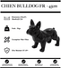 Sculpture Chien Bulldog FR Resine 45cm Statue - NOIR - MUZZANO