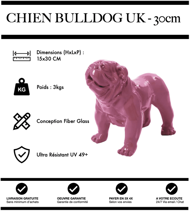 Sculpture Chien Bulldog UK Resine 30cm Statue - ROSE - MUZZANO