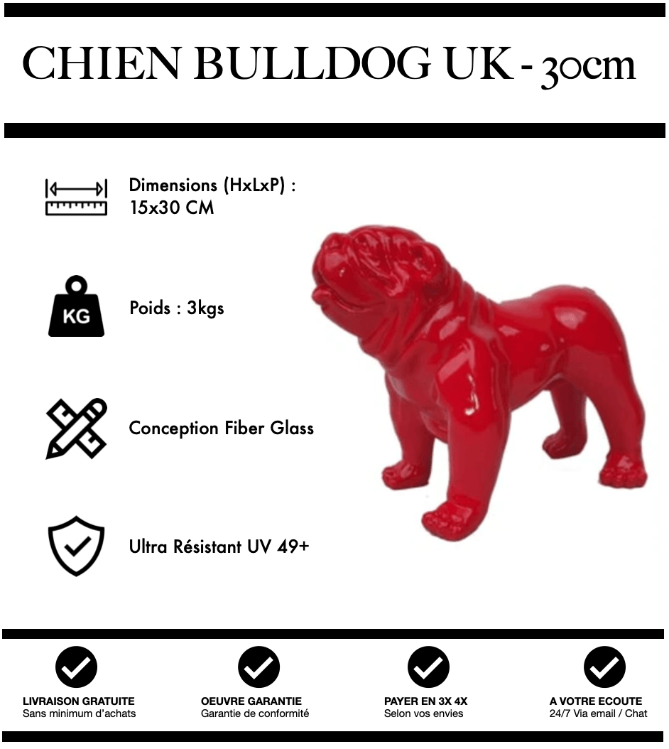 Showroom Bulldog UK