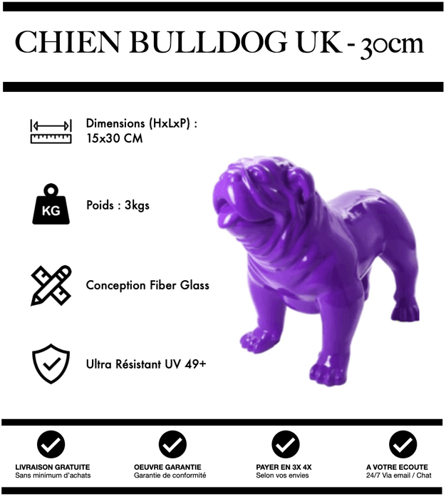 Sculpture Chien Bulldog UK Resine 30cm Statue - VIOLET - MUZZANO