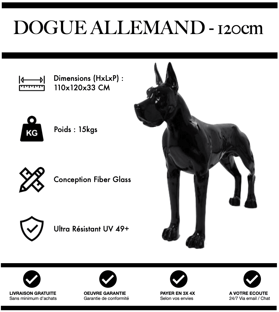 Showroom Dogue Allemand